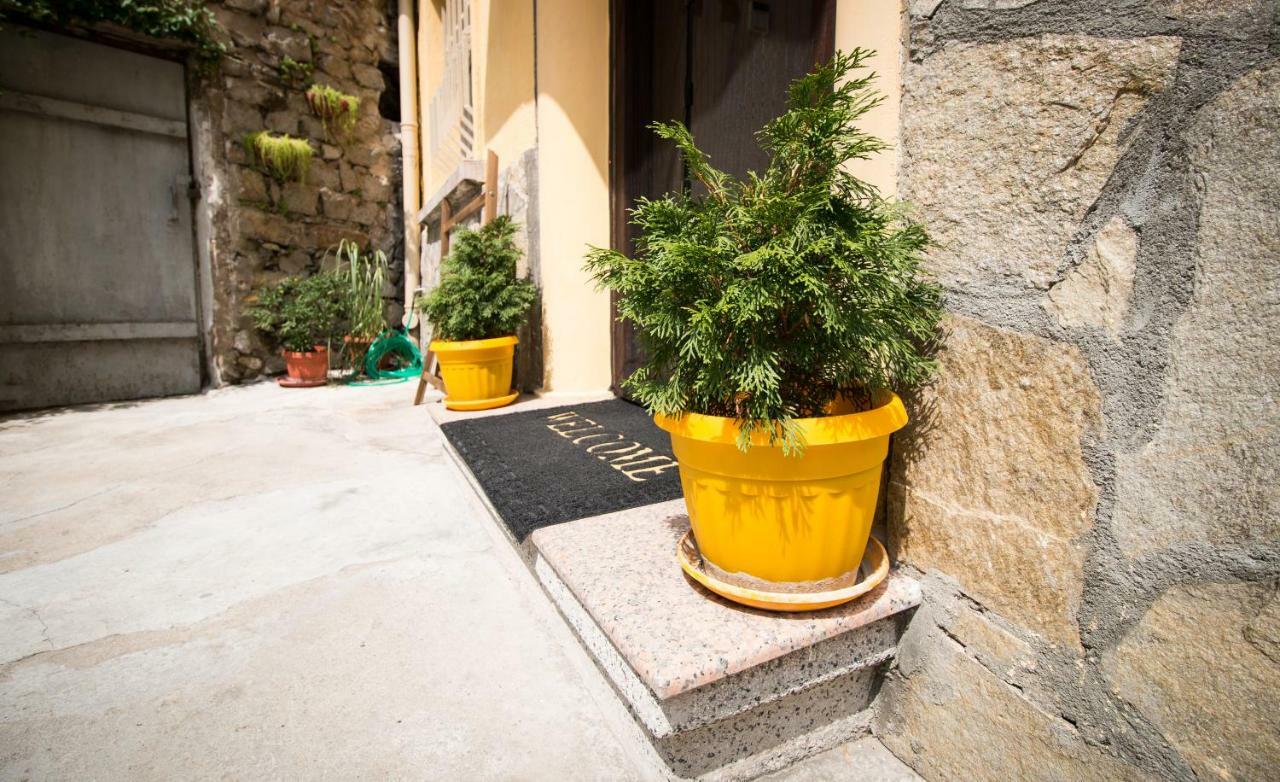 The Rocky House - Central & Private 2Bdr By Flat Mаnager Płowdiw Zewnętrze zdjęcie